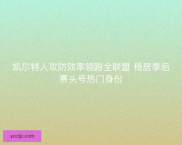 凯尔特人攻防效率领跑全联盟 稳居季后赛头号热门身份